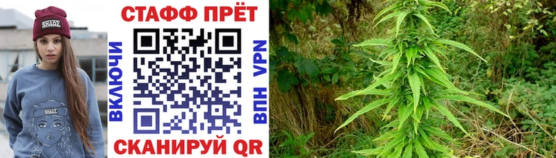 Купить закладку Конопля  NBOMe  ГАШ  Мефедрон  Cocaine  ГЕРОИН  Москва