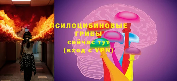 эйфоретик Каменногорск