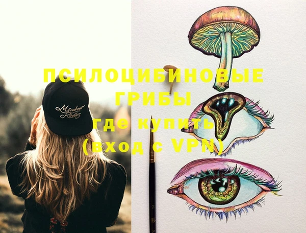 первитин Каменка